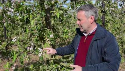 Une période de gel tardive aux conséquences désastreuses en fruiticulture (vidéo)