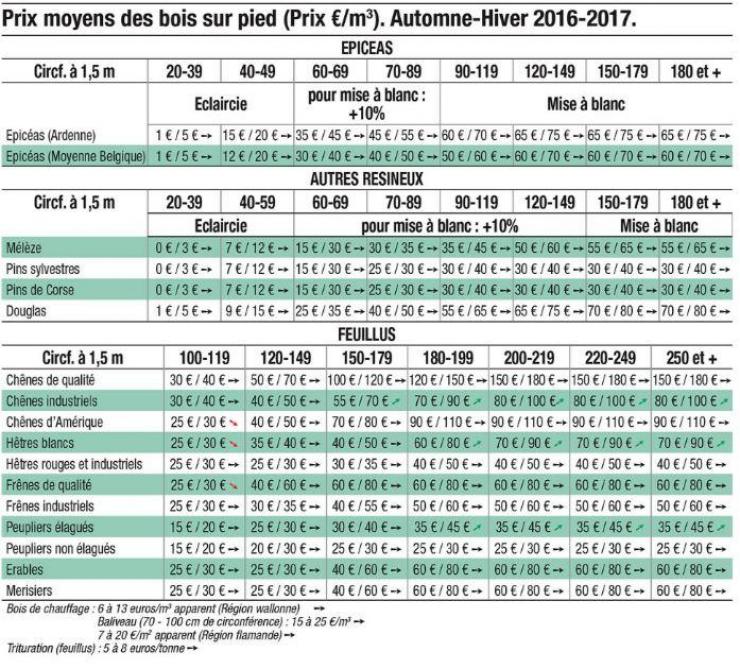 Prix bois m3 scierie