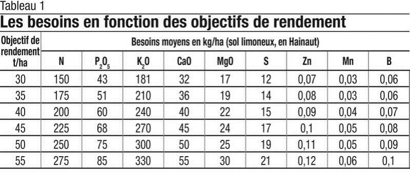 Pomme de terre : si on accordait davantage d’attention à la