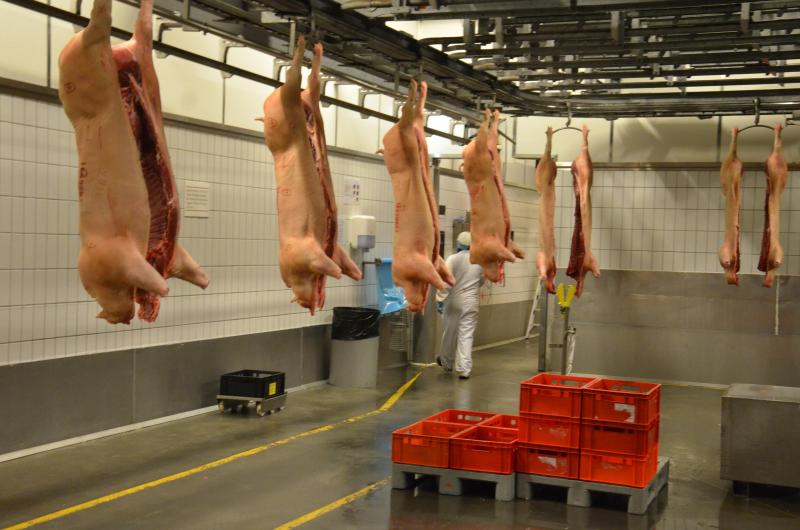 Aucune technique d’étourdissement n’est infaillible. L’abattoir doit donc disposer d’une solution de rattrapage qui fonctionne.