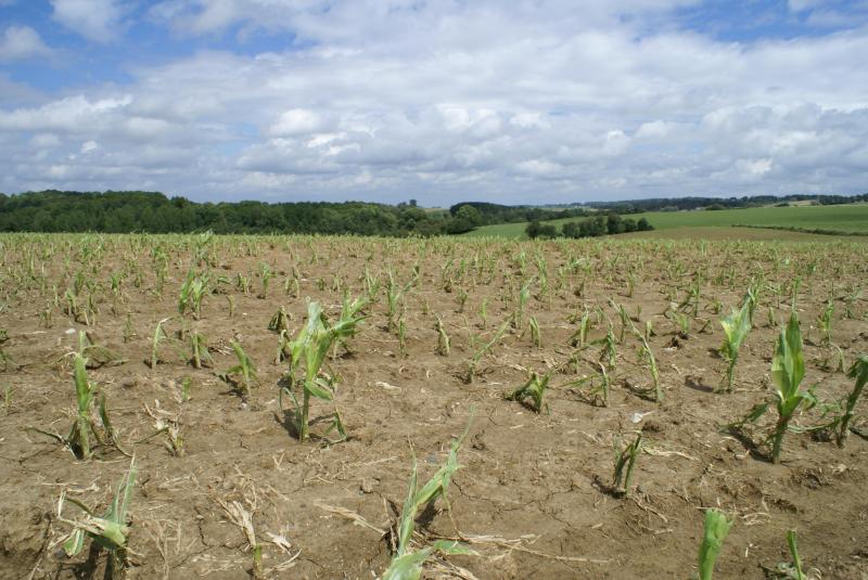 Dans son projet commun pour la pac post 2020, le Copa-Cogeca demande la mise à disposition pour les agriculteurs d’instruments plus efficaces quant à la gestion des risques notamment climatiques.