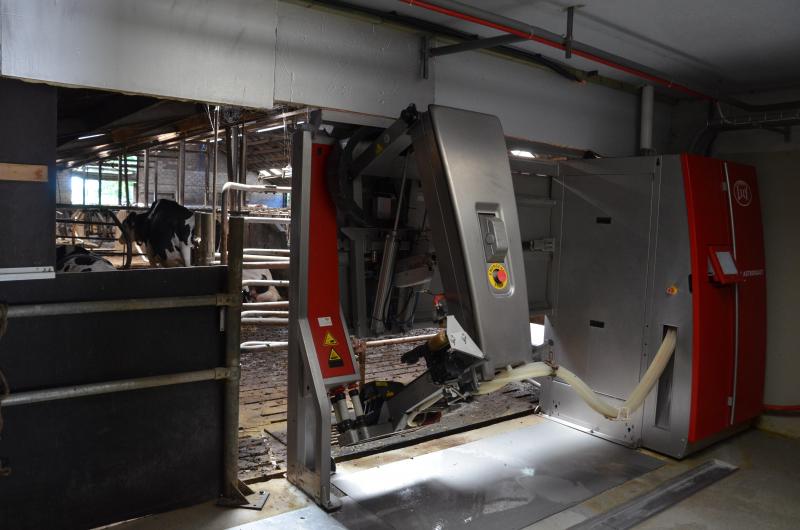 Ne vont aux robots que les vaches  en début de  lactation.