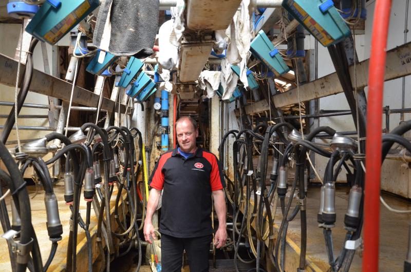 Si les Niessen ont investi dans la robotisation de la traite, ils  continuent à utiliser la salle de traite pour les laitières en fin de la ctation et celles qui présentent des problèmes. De là, les animaux ont accès à la prairie.