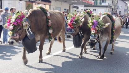 En Suisse, de Entlebuch à Schüpfheim, la descente des alpages est une fête