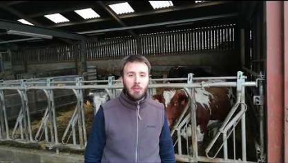 Demain dans votre Sillon Belge, notre dossier «Santé animale» (vidéo)