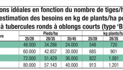 Plantation Des Pommes De Terre Ne Rien Negliger Avertit Le Carah Sillonbelge Be