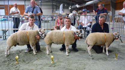 Les trois meilleurs agneaux doubles à D. Malbecq (2X) et D. Miroir.