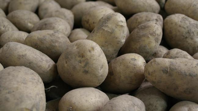 potatoes-965508_1920