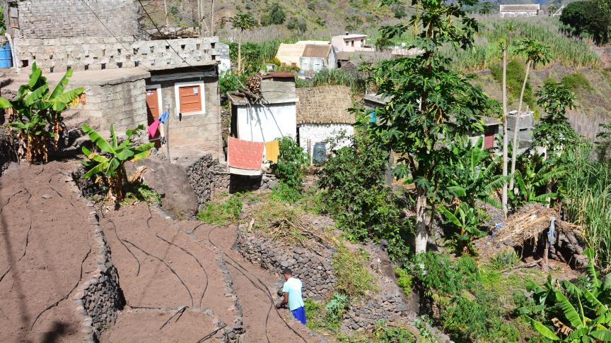 Au large du Sénégal, sous un climat tropical sec-sahélien-et un relief très accidenté, l'île montagneuse cap-verdienne de Santo Antão fait mieux que résister.
