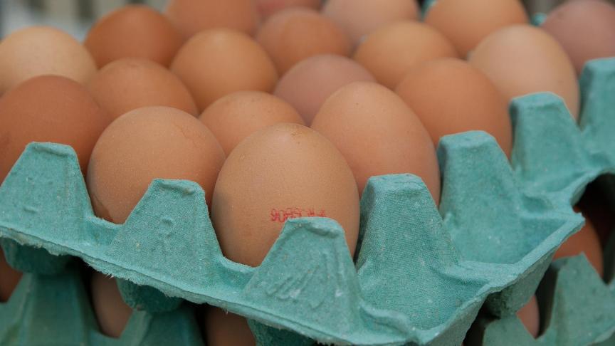 eggs-1887395_1920