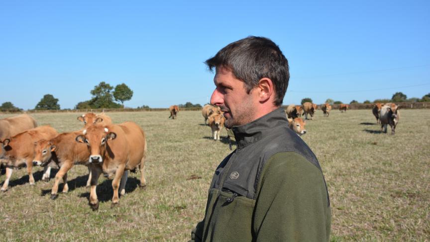 Les animaux ne craignent pas de parcourir de longues distances. 
Leur rusticité et les qualités maternelles apportent un grand confort 
à la conduite de l’élevage. M. de N.