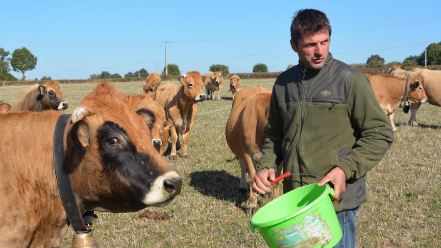 «La sélection porte prioritairement sur les qualités maternelles, les aplombs, la docilité et la conformité au standard de la race», précise Pierre Resche dont le parcours illustre la progression de l’Aubrac hors berceau. M. de N.