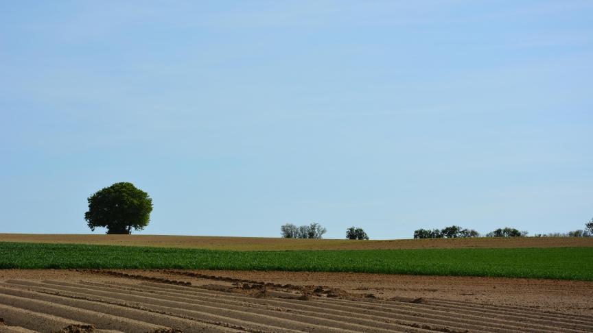 paysage_2