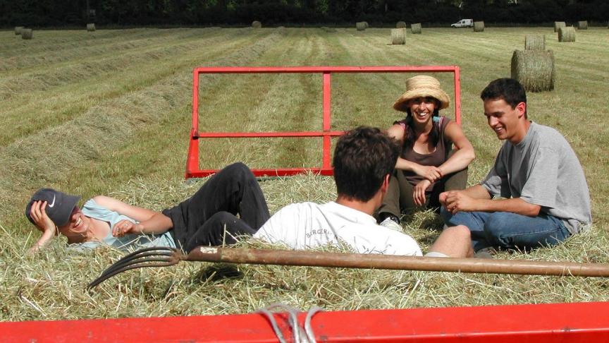 agriculture-91150_1280