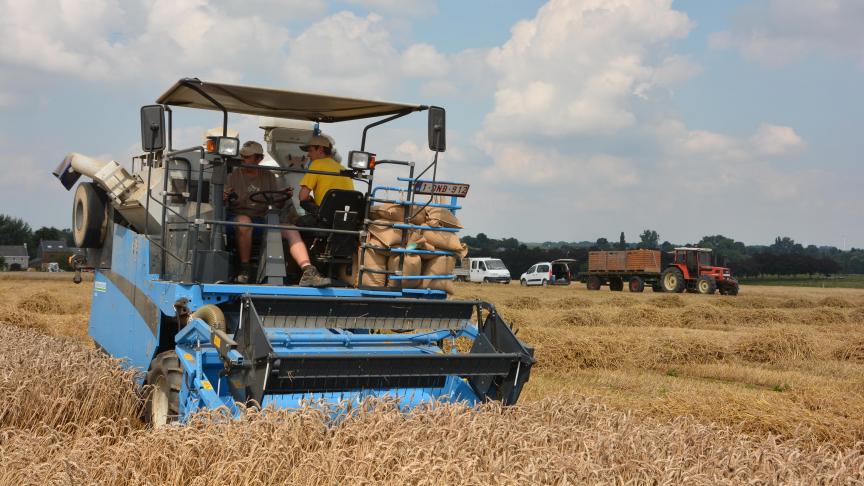 Vue de la moisson d’essais céréaliers mis en œuvre par les équipes de Gembloux Agro-Bio en août 2016.