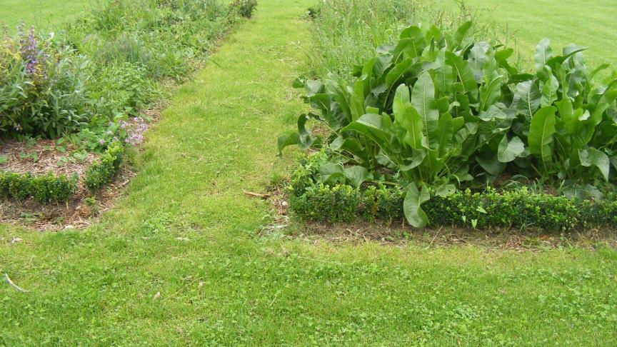 Les fumiers et composts sont incorporés très superfiellement lors des opérations de prépartion et de décompaction du sol.