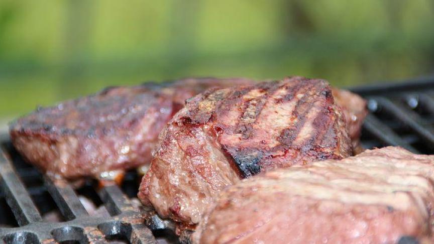 steak-353115__480