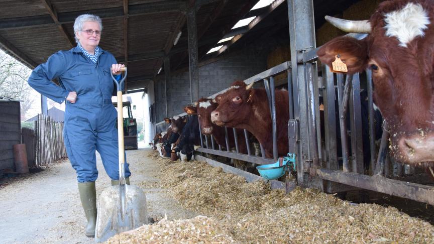 «Ce qui m’a agréablement surpris, c’est que les femmes ont peu à peu pris leur place dans le milieu agricole.  Les vétérinaires. Aujourd’hui, on les voit partout aux commandes, sur le tracteur et dans les étables.  C’est une très bonne chose», dit Lut Bellegeer.
