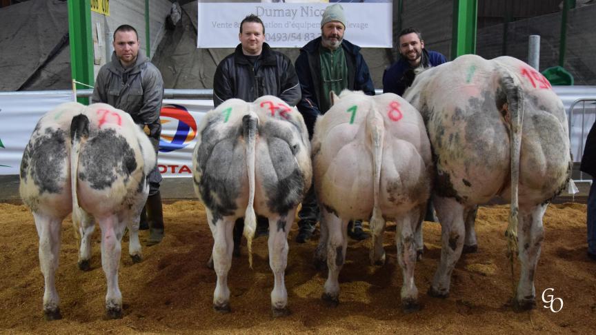 Lot de 1ers prix à Cécile  Hoedenaken & Stieve Charon, Virelles.