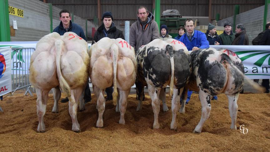Lot raceuse (Grisette de l'Escaille) remporté par Stéphane Pierard & Bernadette Toussaint, Boussu-en-Fagne.