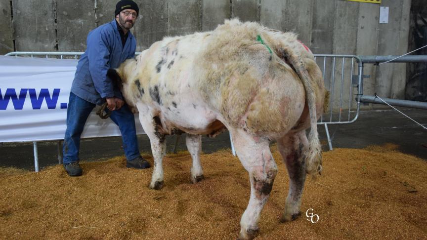 Charlotte de Pesche (Bonheur X Germinal), 1er prix des génisses de moins de 20 mois, à Michel Simon, Pesche.