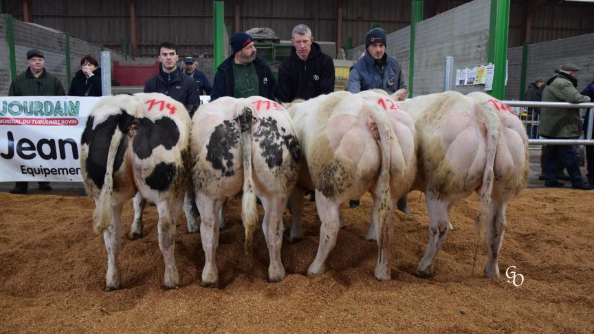Lot raceur (Fergusson du Lac) remporté par Jacques et Philippe Van de Velde, Vaux-lez-Chimay.