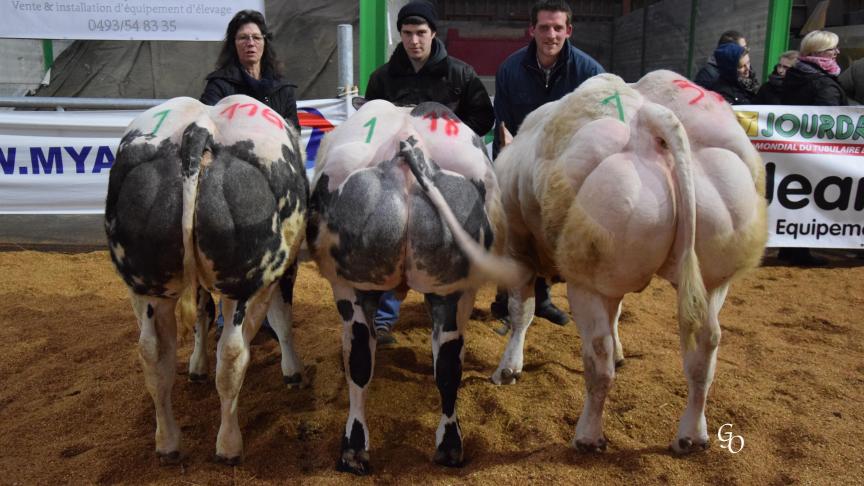 Lot de 1ers prix à Stéphane Pierrard et Bernadette Toussaint, Boussu-en-Fagne.