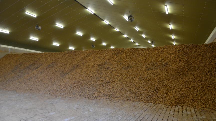 Les contrats pratiqués en Belgique sont quasi exclusivement de type «tonnes à prix fixe», c’est-à-dire qu’ils ne sont pas reliés à la surface, à la parcelle ou même à l’exploitation.