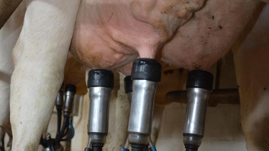 Pour la 1 ère  période de réduction volontaire,  s’étalant du 1 er  octobre au 31 décembre 2016, près de 2.000 dossiers avaient été introduits.