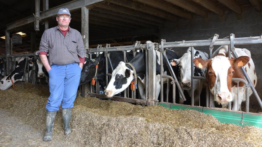 Lorsqu’on lui demande pourquoi la Holstein plutôt qu’une autre race,  Yvon répond : « Je ne sais pas trop, le choix s’est fait comme ça à l’époque. Mais je ne l’ai jamais regretté ! ».