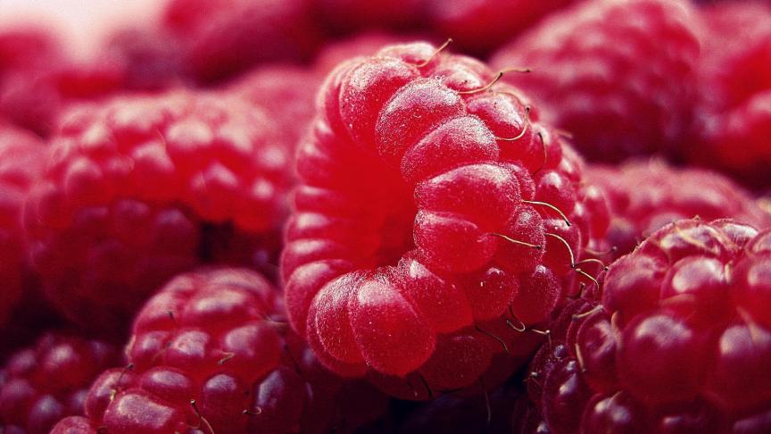 raspberry-427390_1920