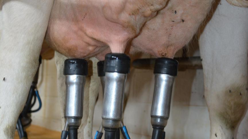 Le ciel laitier pourrait à nouveau s’assombrir d’ici quelque mois...