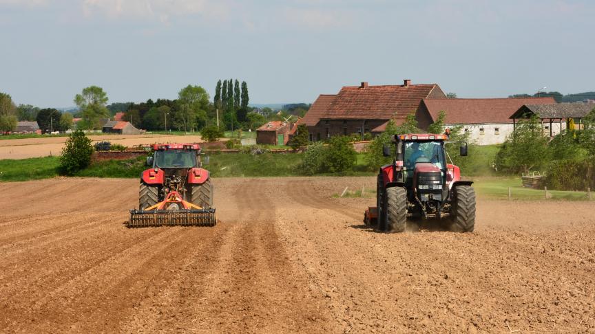 La préparation du sol pour une mise en terre des plants idéale revêt  une importance majeure.
