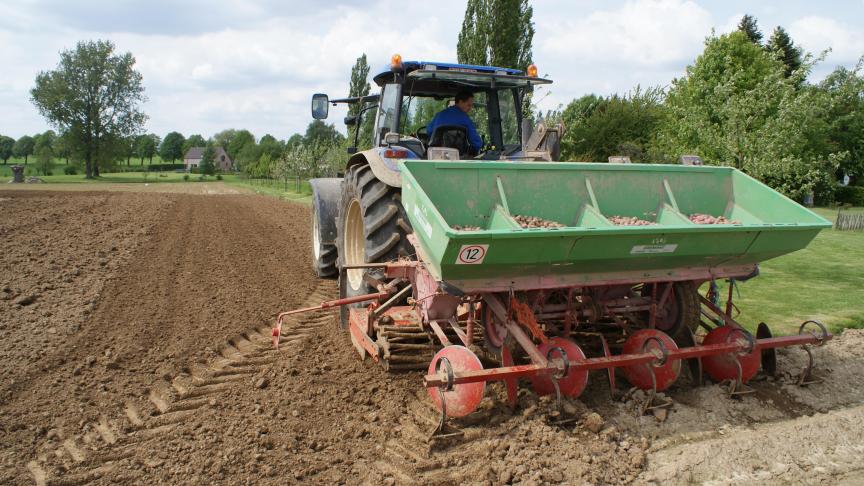 A l’heure des plantations, l’évolution du  dégagement des stocks est une donnée majeure pour l’examen des perspectives des marchés.