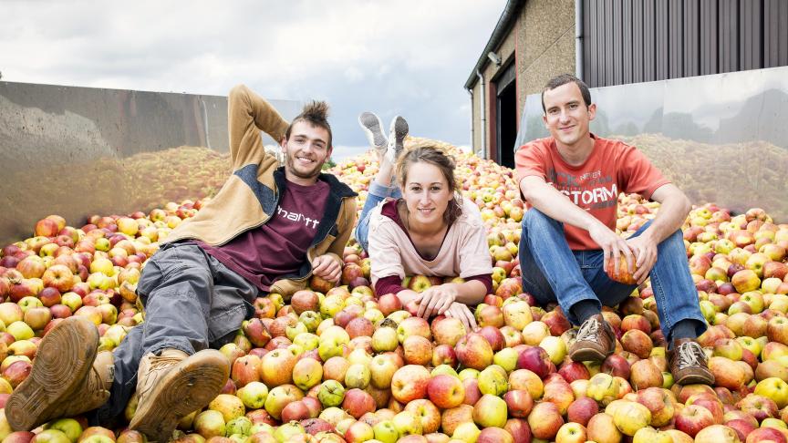 Les Pulpivores ont pour objectifs de valoriser  la pulpe des pommes  en farine alimentaire.