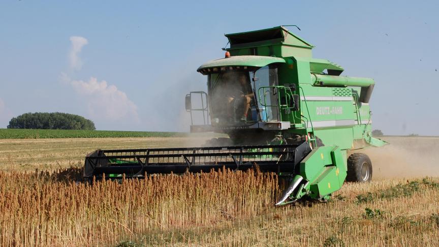Le quinoa est récolté par l’agriculteur. François s’occupe ensuite du tri, du stockage, de l’emballage et de la commercialisation.