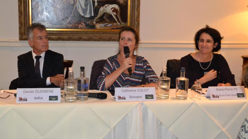 «
L’importation de foie gras, 1.156
t en 2015, porte préjudice à la filière belge
», dénonce Catherine Colot.