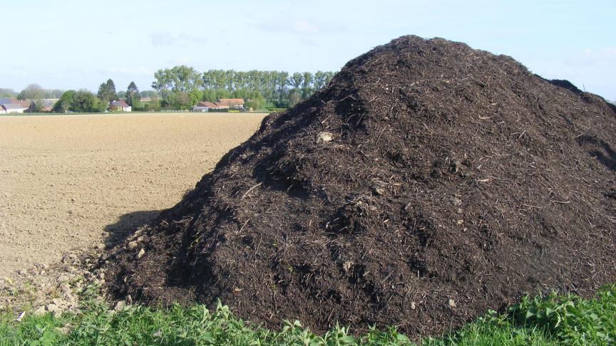 La fertilisation organique est  la base de la  fertilisation  en maraîchage  et cultures  légumières.