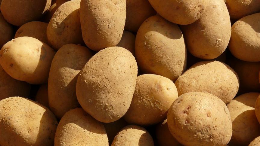 potatoes-5797_1920