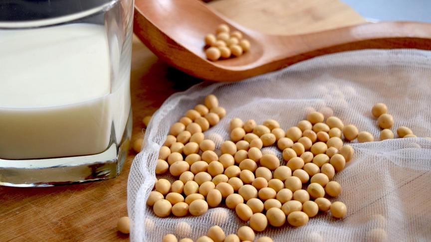 soy-milk-2084018_1920