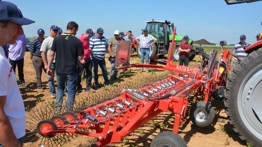 Les journées techniques betteraves - chicorées qui étaient organisées la semaine dernière près d’Eghezée ont permis aux très nombreux participants d’observer en statique et en dynamique trois outils de désherbage mécanique, parmi lesquels une roto étrille qui opère sur l’ensemble de la surface cultivée (rangs et interrangs).