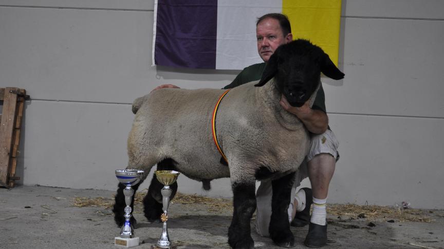 Champion des béliers Suffolk, à Jean-Louis Leysens.