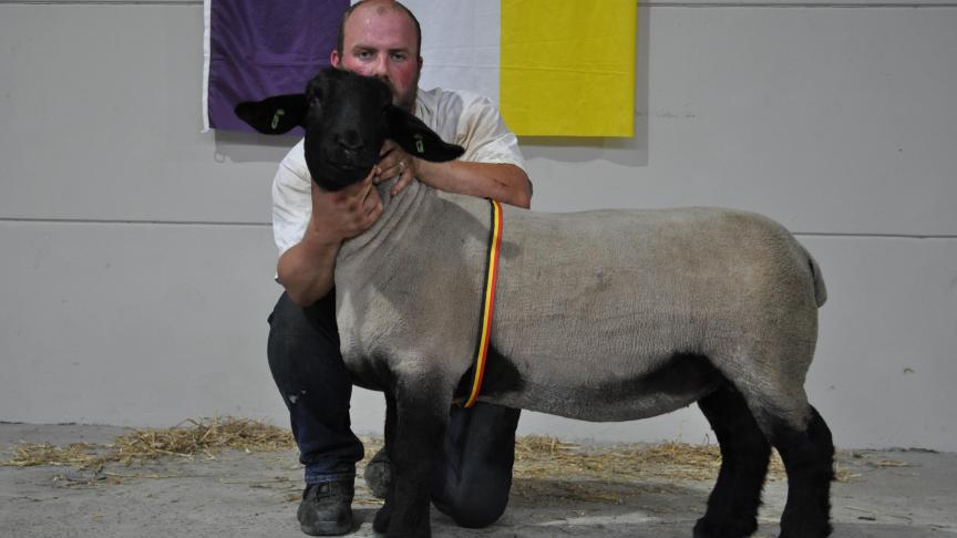 Championne des brebis Suffolk, à Kurt Brynaert.