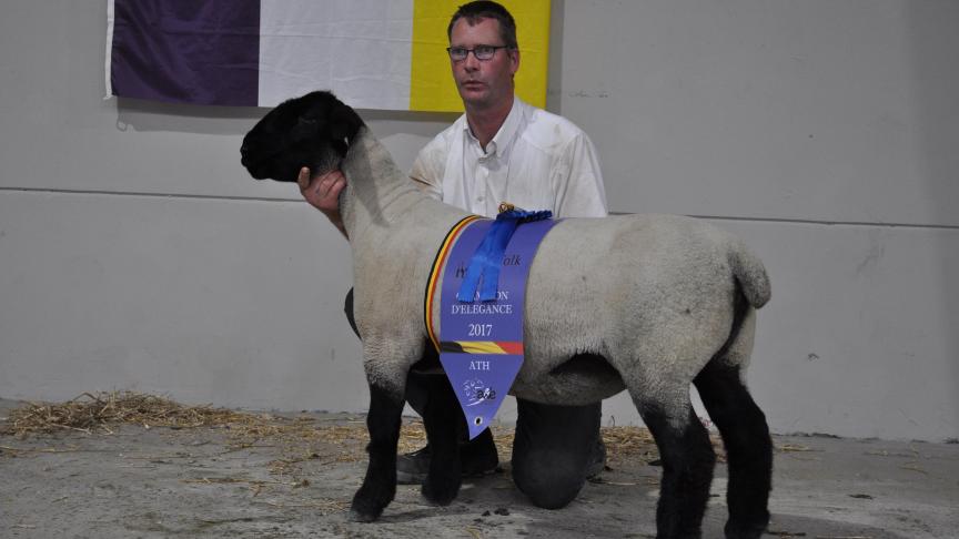 Championne d’élegance Suffolk, à Johan Somers.