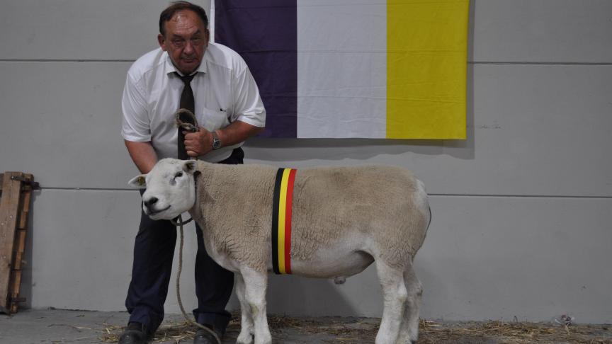 Champion bélier provincial Texel Français, à Jacques Deryck.