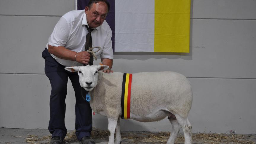 Championne des brebis Texel Français, à Jacques Deryck.