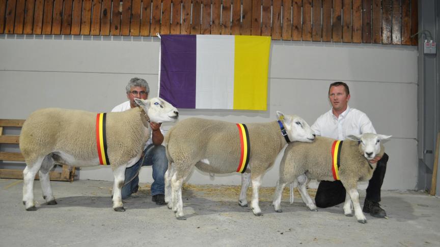 Lot de champions Texel Français à Vincent Simon.