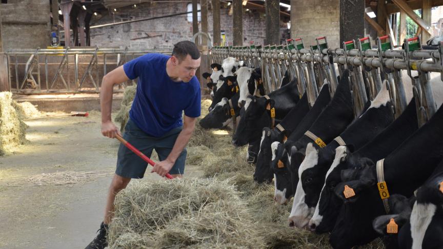 Le couloir d’alimentation assez large permet à Vincent Schyns d’affourager son cheptel pour deux jours.