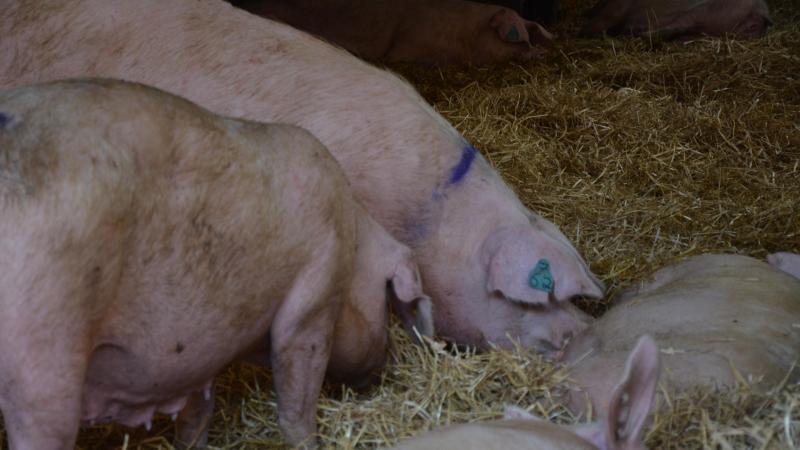 La mesure permettra une exonération moyenne de 650 € par exploitation.