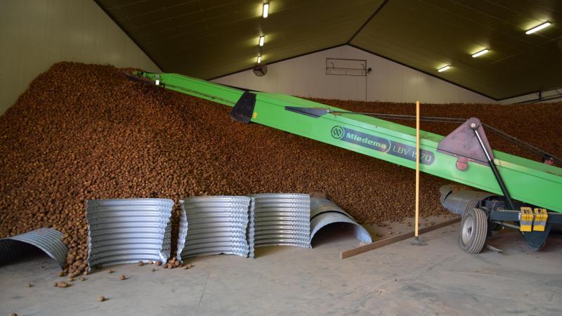 Après séchage du tas, il va falloir penser au premier anti-germinatif, et pour cela il faut impérativement des pommes de terre sèches et une absence d’humidité dans le bâtiment.